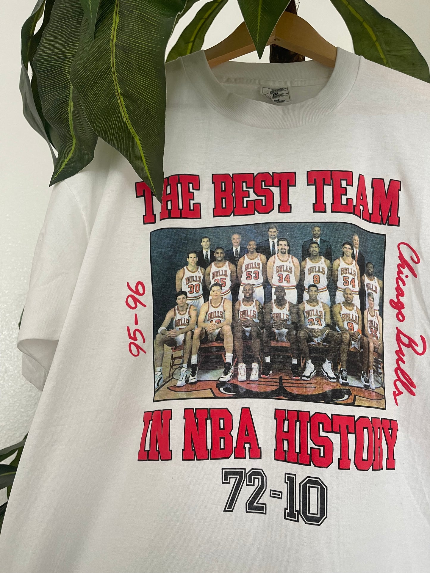 1995-1996 Chicago Bulls “The Best Team” Vintage Tee